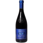 Tarapacá Gran Reserva Etiqueta Azul 0,75 l (holá láhev) – Hledejceny.cz