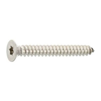 ISO14586 5.5x45 TX25 vrut do plechu, zápust. hl. nerez A2 (100 ks) – Hledejceny.cz