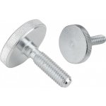 Rýhované šrouby nízké z oceli a nerezové oceli, DIN 653 06089-06X40 – Zboží Mobilmania