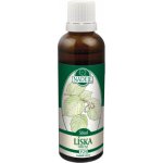 Jarmila Podhorná P29 Líska 50 ml – Hledejceny.cz