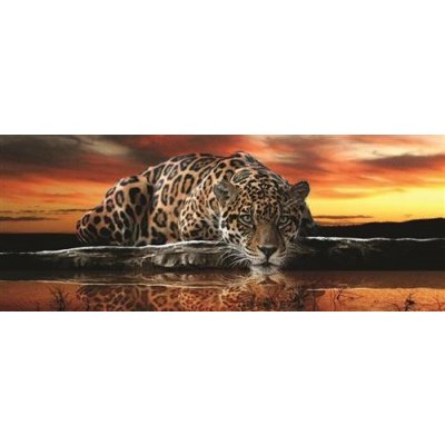 IMPOL TRADE 126VE Vliesová fototapeta jaguár rozměr 250 cm x 100 cm – Zboží Mobilmania