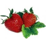 Dekang Strawberry mint 30 ml 6 mg – Hledejceny.cz