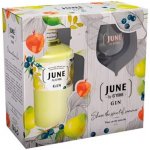 June Gin Pear 37,5% 0,7 l (dárkové balení 1 sklenička) – Hledejceny.cz