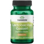Swanson Probiotikum Lactobacillus Gasseri 60 kapslí – Hledejceny.cz