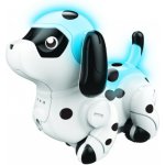 MaDe Pejsek jezdící po namalované čáře – Sleviste.cz