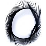 Veniard Husí Biots Goose Biot Strips Black – Hledejceny.cz