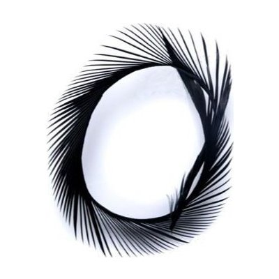 Veniard Husí Biots Goose Biot Strips Black – Hledejceny.cz
