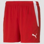 Puma teamLIGA Shorts – Hledejceny.cz