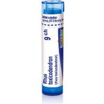 RHUS TOXICODENDRON POR 9CH GRA 4G – Hledejceny.cz