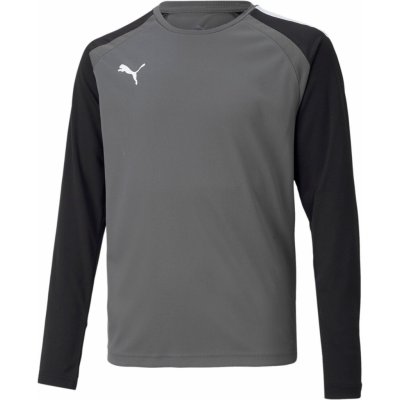 Dres s dlouhým rukávem Puma Team Pacer GK LS Jersey 70493343 – Zboží Mobilmania