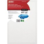 Artix Paints Malířské plátno 20x30cm – Zboží Mobilmania