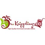 Dr. Krippling Seeds Gorilla Infested Gelato Auto semena neobsahují THC 1 ks – Hledejceny.cz