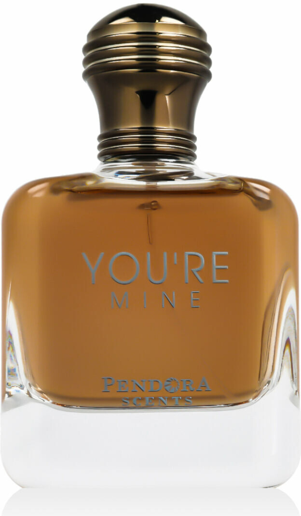 Pendora Scents You'Re Mine parfémovaná voda pánská 100 ml