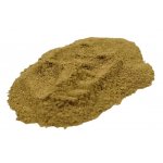 Salvia Paradise Brahmi Bacopa Monnieri prášek 100 g – Hledejceny.cz