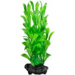 Tetra Hygrophila S 15 cm – Zboží Dáma