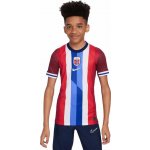 Nike Norsko 2024 Y FZ0172 677 vícebarevný – Hledejceny.cz