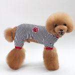 JollyStyle Obleček pro psa - Trendy Velikost: S – Zboží Mobilmania