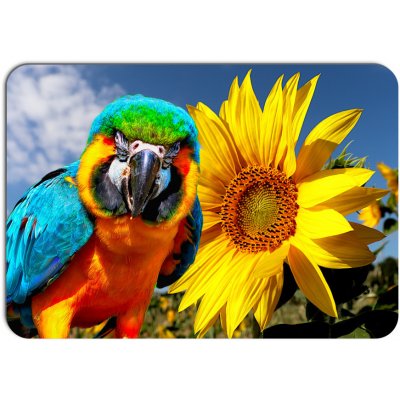 PokojovaDekorace.cz prostírání 375 Papoušek 43x30cm – Hledejceny.cz