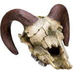 Nobby Beran lebka 17,5x16x9,5 cm – Hledejceny.cz