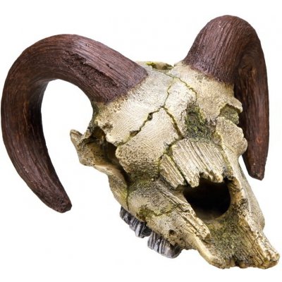 Nobby Beran lebka 17,5x16x9,5 cm – Zboží Mobilmania