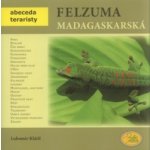 Čo sa deje v mojej hlave? – Hledejceny.cz