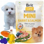 Brit Care Mini Rabbit & Salmon fillets in gravy 85 g – Zboží Mobilmania
