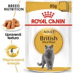 Royal Canin British Shorthair Gravy ve šťávě 12 x 85 g – Hledejceny.cz