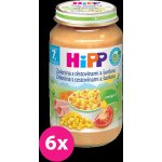 HiPP BIO Zelenina s těstovinami a šunkou 6 x 220 g – Zboží Dáma