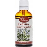 Serafin tinktura ze směsi pupenů Ledviny a močový měchýř 50 ml – Hledejceny.cz
