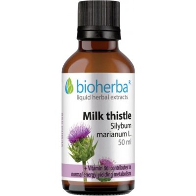 Bioherba Ostropestřec mariánský Silybum marianum kapky 50 ml – Hledejceny.cz