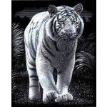 Škrábací obrázek TYGR1 – Sleviste.cz