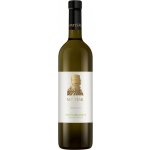 Matyšák Prediction Veltlínske zelené 12,5% 0,75 l (holá láhev) – Hledejceny.cz