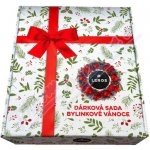 LEROS SADA BYLINKOVÉ VÁNOCE 20 x 2 g – Zboží Dáma