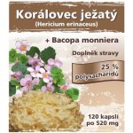 Naturgreen Korálovec ježatý extrakt 120 veganských tablet – Hledejceny.cz