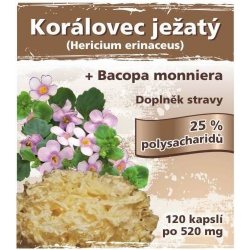 Naturgreen Korálovec ježatý extrakt 120 veganských tablet