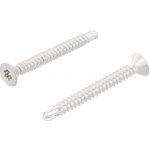DIN 7504 A4 O 4,2X50 TX20 – Hledejceny.cz