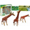 Živá vzdělávací sada Žirafy Vzdělávací Rodina 3 kusy Pozadí A