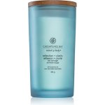 Chesapeake Bay Candle Chesapeake Bay Reflection + Clarity 354 g – Zboží Mobilmania