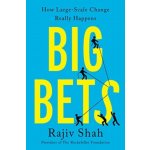 Big Bets - How Large-Scale Change Really Happens Shah RajivPaperback