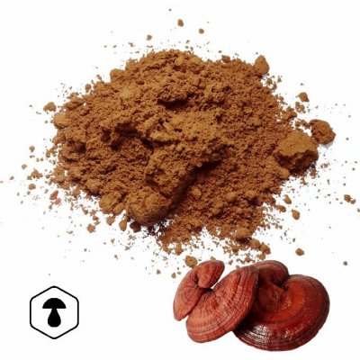 LifeChi Reishi Ganoderma lucidum houbový prášek 100 g – Hledejceny.cz