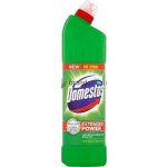Domestos Extended Power čisticí přípravek na toalety Pine 1250 ml – Zbozi.Blesk.cz