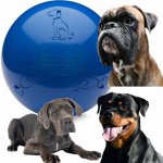 The Company of Animals Míč Boomer ball 20 cm – Sleviste.cz