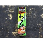 S&B Wasabi pasta 43 g – Zboží Dáma