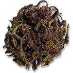 Santa Maria CBD Purple Punch CBD 15% THC 0,5% 10 g – Zboží Dáma