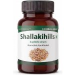 Herbal Hills Shallakihills Bylinné kapsle 60 kapslí – Hledejceny.cz