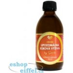 Zdravý Svet Lipozomální kloubní výživa 250 ml – Hledejceny.cz