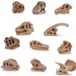 Safari Ltd. Tuba Lebky dinosaurů – Hledejceny.cz