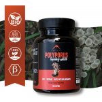 Hrotlife Polyporus 90 kapslí – Hledejceny.cz