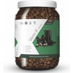 Verm-X Odčervovací granule pro psy 650 g – Zbozi.Blesk.cz