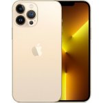 Apple iPhone 13 Pro Max 256GB – Zboží Živě